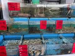 -洲晓鲜·舟山海鲜大排档(朱家尖风景区店)