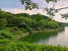 -广东花都湖国家湿地公园