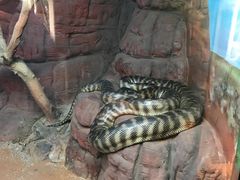 -费瑟代尔野生动物园