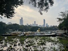 -荔枝公园(福田区)