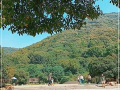 -宝岩生态观光园