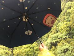 -永泰中国云顶