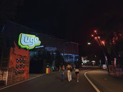 -圣淘沙天际线斜坡滑车