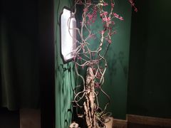 -掌柜的店·河南菜(日月光店)