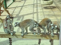 -水上乐园·欢乐世界