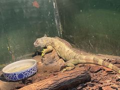 -上海大自然野生昆虫馆