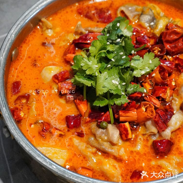 杭州创意菜天花板💘氛围感拉满