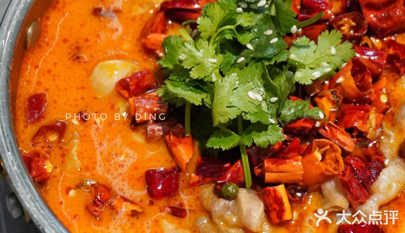 杭州创意菜天花板💘氛围感拉满