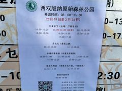 -西双版纳原始森林公园