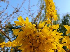 -大兴滨河森林公园