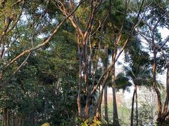 -深圳国际园林花卉博览园