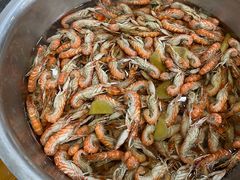 -渔家小院观海海肠捞饭地方菜(环海中路店)