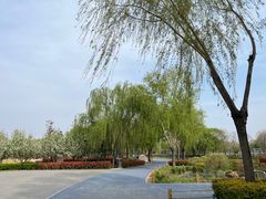 -北龙湖湿地公园