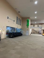 -疯狂的麦咭(长沙店)