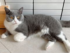 -Catmate·猫肥家润(金润铂宫店)