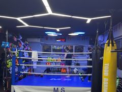-M.S拳击泰拳馆(大学路店)
