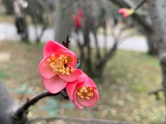 -塔子山公园
