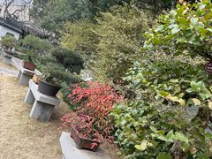 -上海醉白池公园