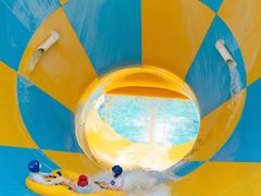 -重庆海昌加勒比海水世界