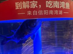 -解家河南菜(商鼎路店)