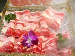 -新草堂锅物料理(泉城路店)