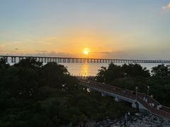 -宝安西湾红树林湿地公园