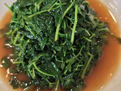 -宝丰饭店