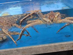 -帝皇海海鲜豆捞(桐泾商务广场店)