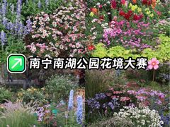 -南宁南湖公园