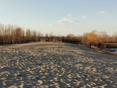 -东郊湿地公园