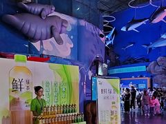 -烟台海昌鲸鲨海洋公园