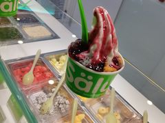 -Salud撒露欧洲冻酸奶(五道口购物中心店)