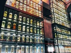 -广东中医药博物馆