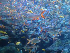 -成都浩海立方海洋公园