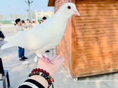 -天津妈祖文化园