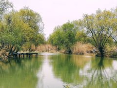 -长兴太湖图影湿地文化园