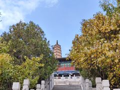 -白塔山公园