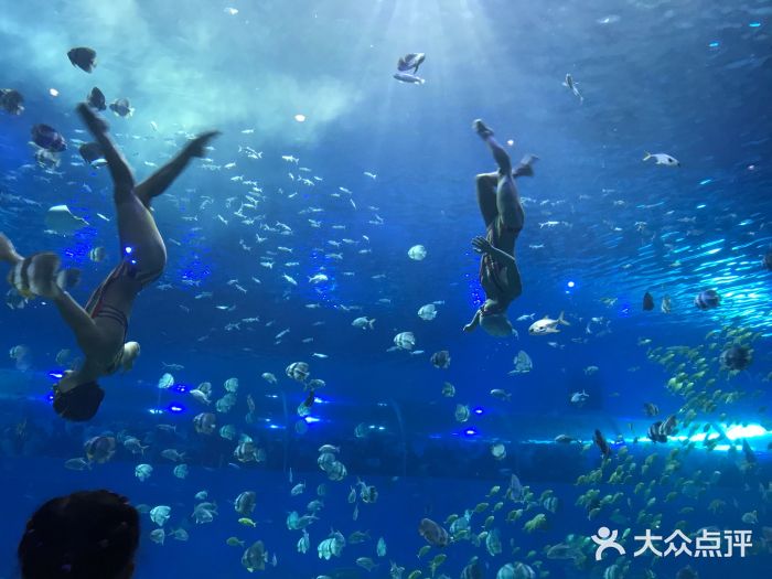 重庆海底公园图片