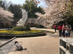 -杭州少年儿童公园