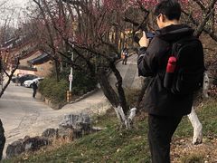 -九华山公园