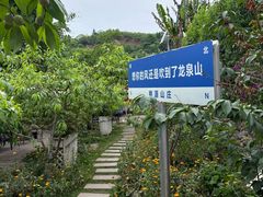 -桃源山庄·水蜜桃采摘·柴火鸡·烧烤团建(龙泉山店)