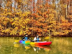 -上海海湾国家森林公园