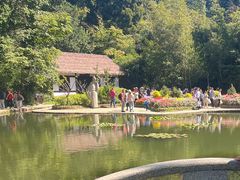 -庐山风景区花径公园