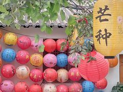 -单家老院·院子里的青岛菜(沙子口店)