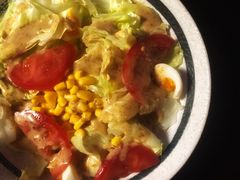 蔬菜色拉-日本料理神拉面