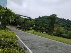 -飞凤山奥体公园