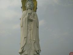 -白洋淀景区