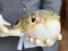 -永安鱼庄·镇江菜(东吴路店)