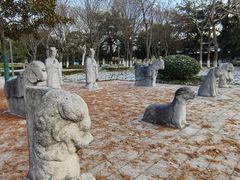 -泰州凤城河风景区-泰山公园