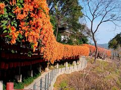 -桃花涧